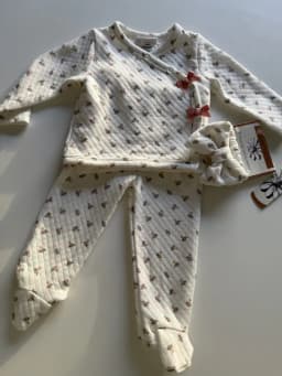 Conjunto de flores con balaca — IMG_3701_810x1080